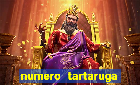 numero tartaruga jogo do bicho